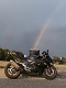Lederschnürhose motorrad - Unser Favorit