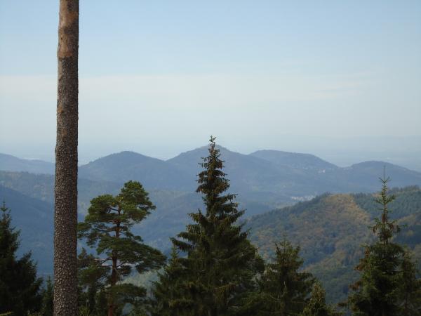 1200 DSC01254

Blick vom Hohloh ca. 1000m .NN.
Der Hohloh ist der hchste Gipfel zwischen Murg und Enz.