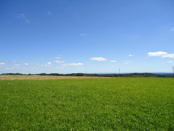 Microsoft Windows 8 desktop
- natrlich nur nen Joke -