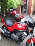 Meine CB 500 und meine Kawasaki ER-5(Schnppchen)